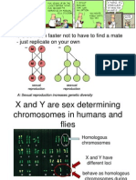 Genetics WK3PPT