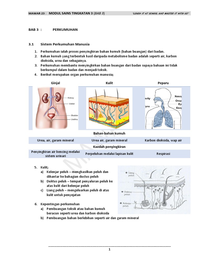 Buku Sains Tingkatan 3 Bab 4 : Sukatan kssm sains tingkatan 3 terdiri