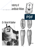 Descriptive Anatomy of Permanent Mandibular Molars: Dr. Ra ' Ed Al - Sadhan