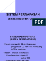 Sistem Pernafasan