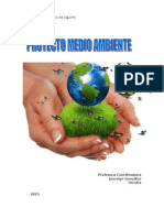 Proyecto M Ambiente