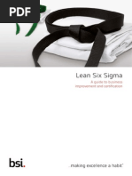 Six Sigma BSI Training Sales Brochure