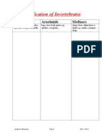 Classification of Invertebrates: Insects Arachnids Molluscs