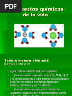 Composición de La Materia Viva