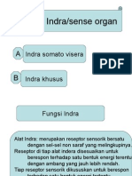 Faal DR Marwito - Panca Indra 2012