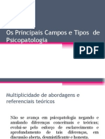 Os Principais Campos e Tipos de Psicopatologia (Aula II)
