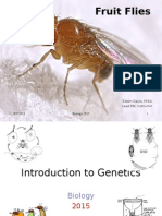 Biology - Fruit Fly Genetics I