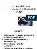 Instabilitatea Macroeconomica Si Fluctuatiile Ciclice