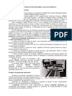 Structura_Calculatorului.doc