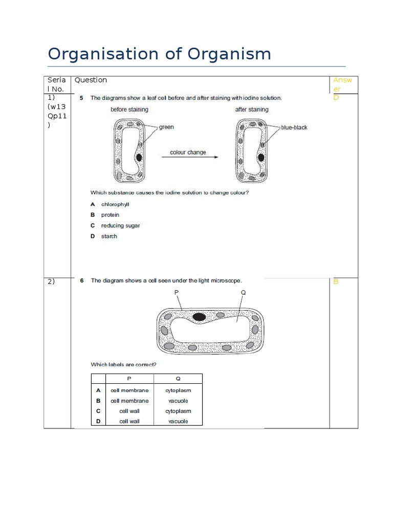 Organism Organization Quiz Answers | PDF