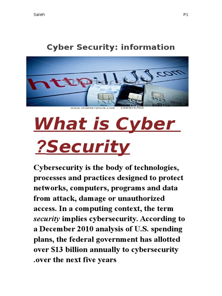 What Is Cyber Security ? | PDF