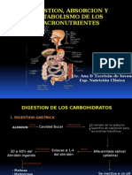 Digestion y Absorcion de Nutrientes. Generalidades.pptx