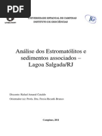 Análise dos Estromatólitos e sedimentos associados – Lagoa Salgada/RJ