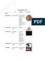 Brain Regions Chart