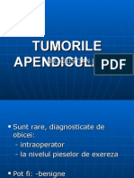 Curs Tumori Apendiculare - Dr. Badiu