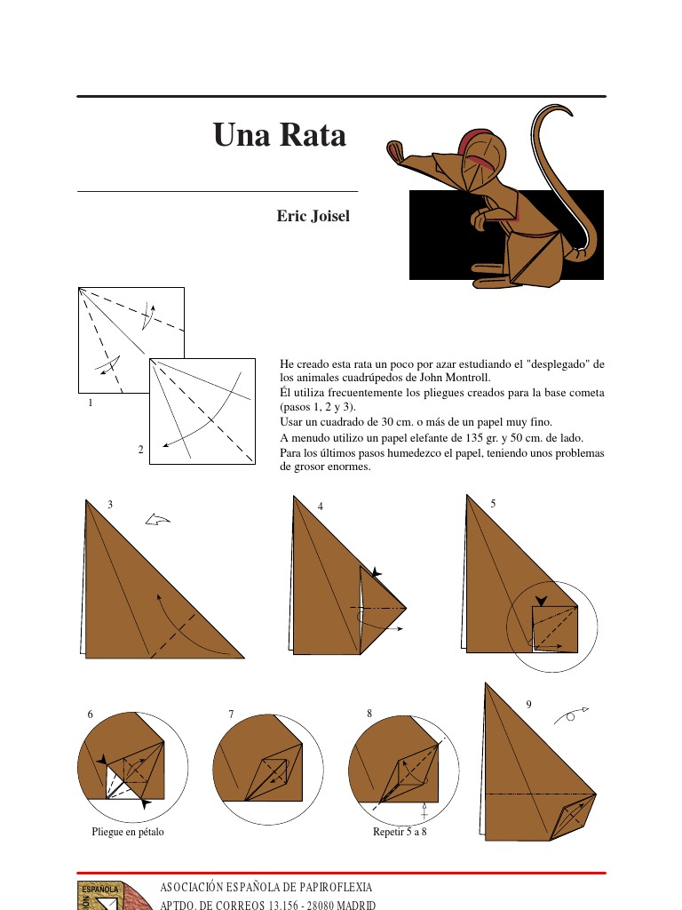 Rata | PDF | Origami | Ocio