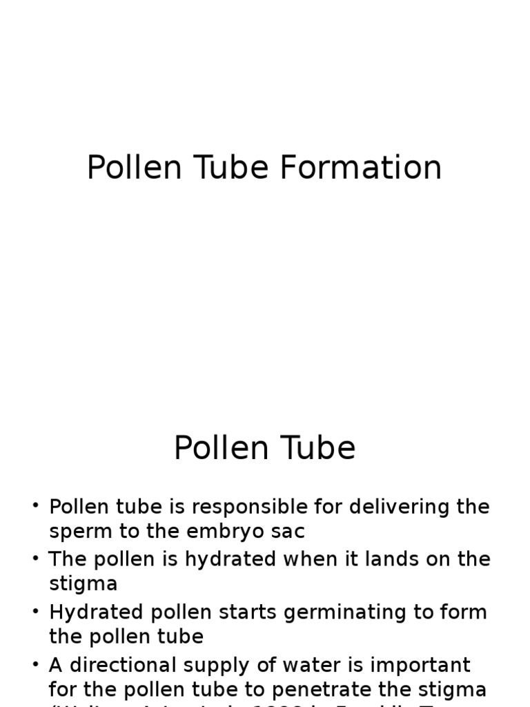 Pollen Tube Formation and Growth Factors | PDF | Calcium | Calcium In ...