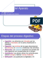 Clase Nº 08 Fisiología Del Aparato Digestivo (1)