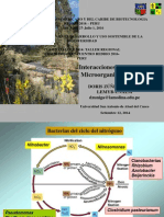 6 Microorganismos-Planta PDF