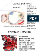 Funcion Pulmonar