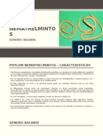 Phylum Nemathelmintos-ascaris lumbricoides-ciclo biologicos de ascaris