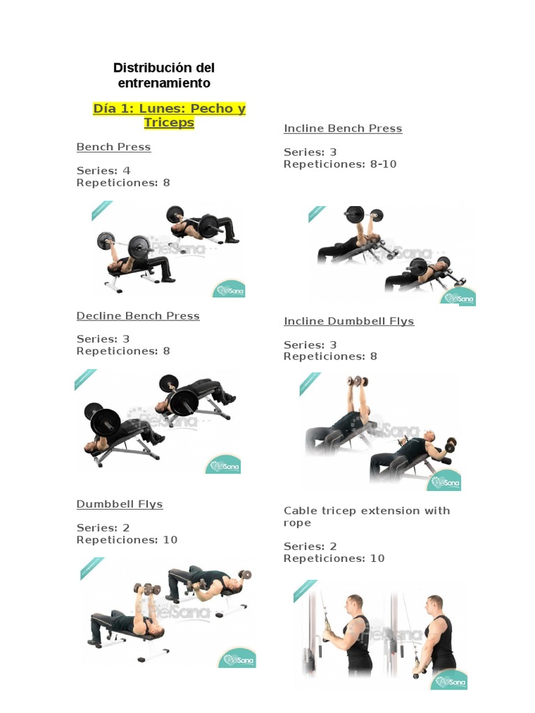 ENTRENAMIENTO con TRX - Rutina PDF - 5 Dias GRATIS Descargable