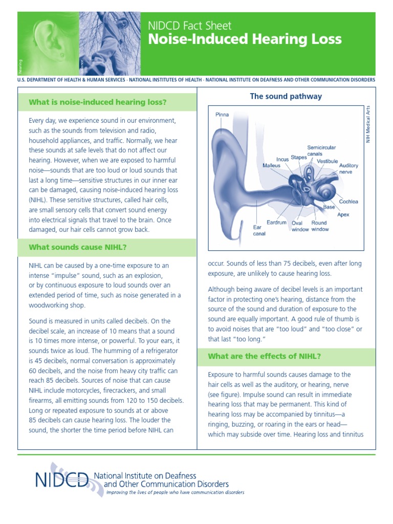 Noise Induced Hearing Loss Hearing Loss Hearing
