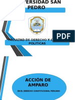 Acción de Amparo en el Derecho Constitucional Peruano