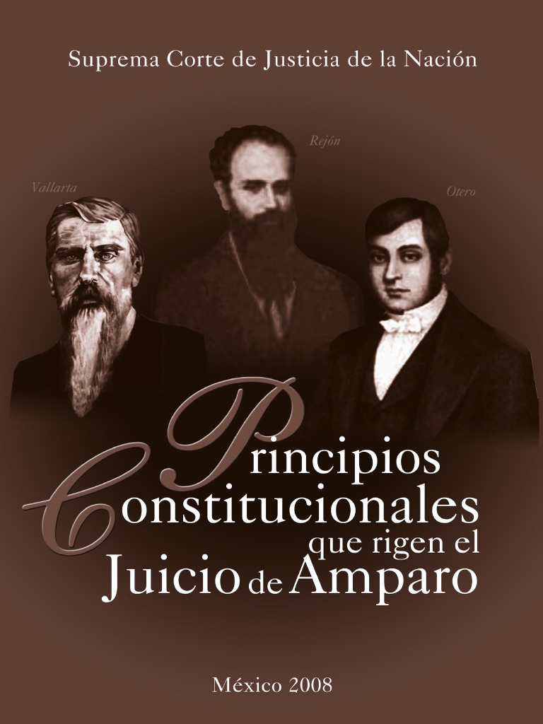 Principios Constitucionales Que Rigen El Juicio de Amparo | PDF | Caso ...