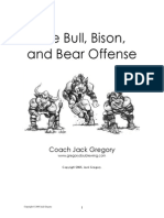 Bull Bison & the Bear