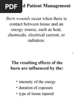Download Burns and Patient Management by Dr Mohamed A El Rouby SN2591191 doc pdf