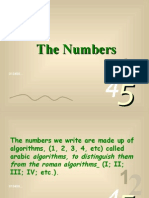 Origin of numbers