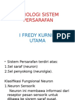 Fisiologi Sistem Persarafan