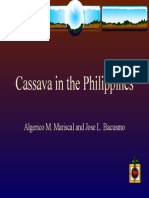 Cassava - in The Philippines