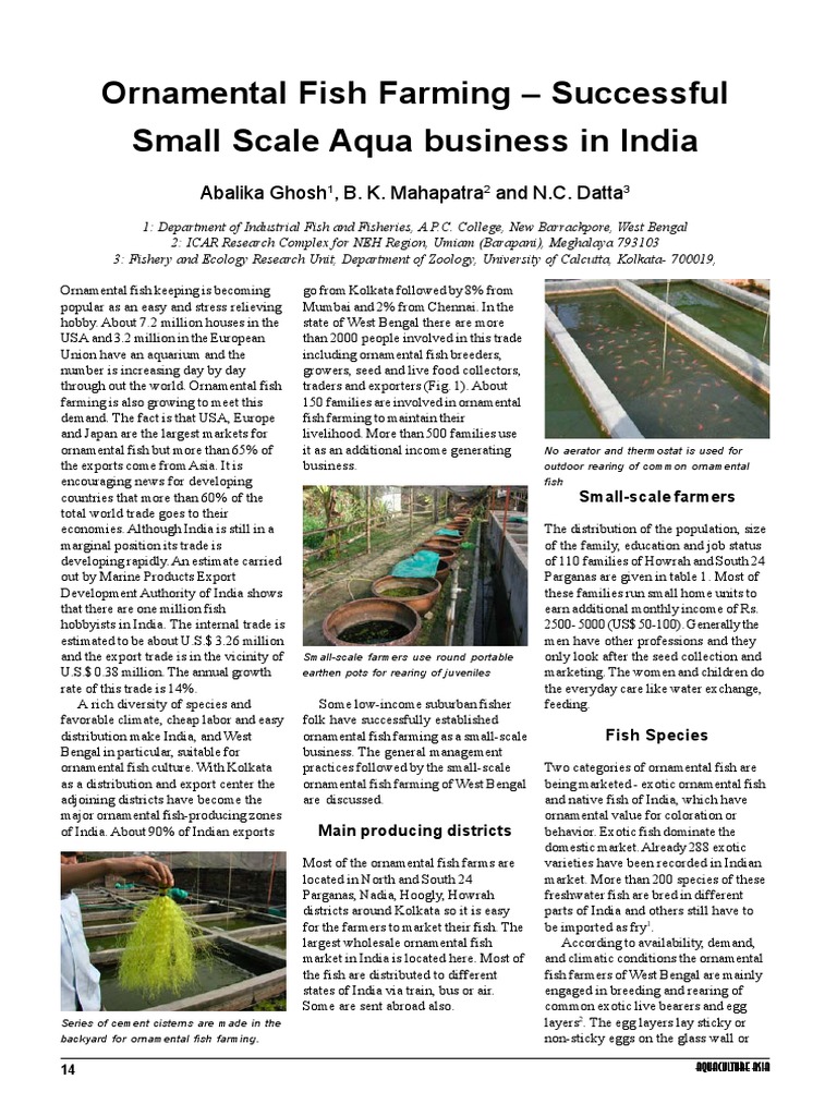 Ornamental Fish Farming Successful Small Aqua Business in India | PDF