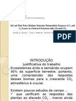 Determinação da relação Solo-Planta-Água em ecossistema semi árido