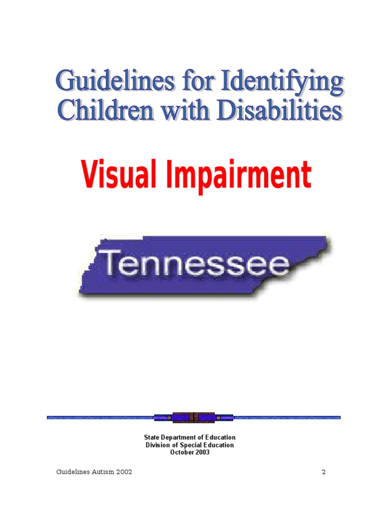 Visual Impairment Best Practices Guide | PDF | Individualized Education ...