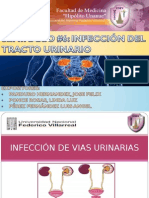 urologia