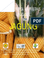 JAGUNG UNGGUL