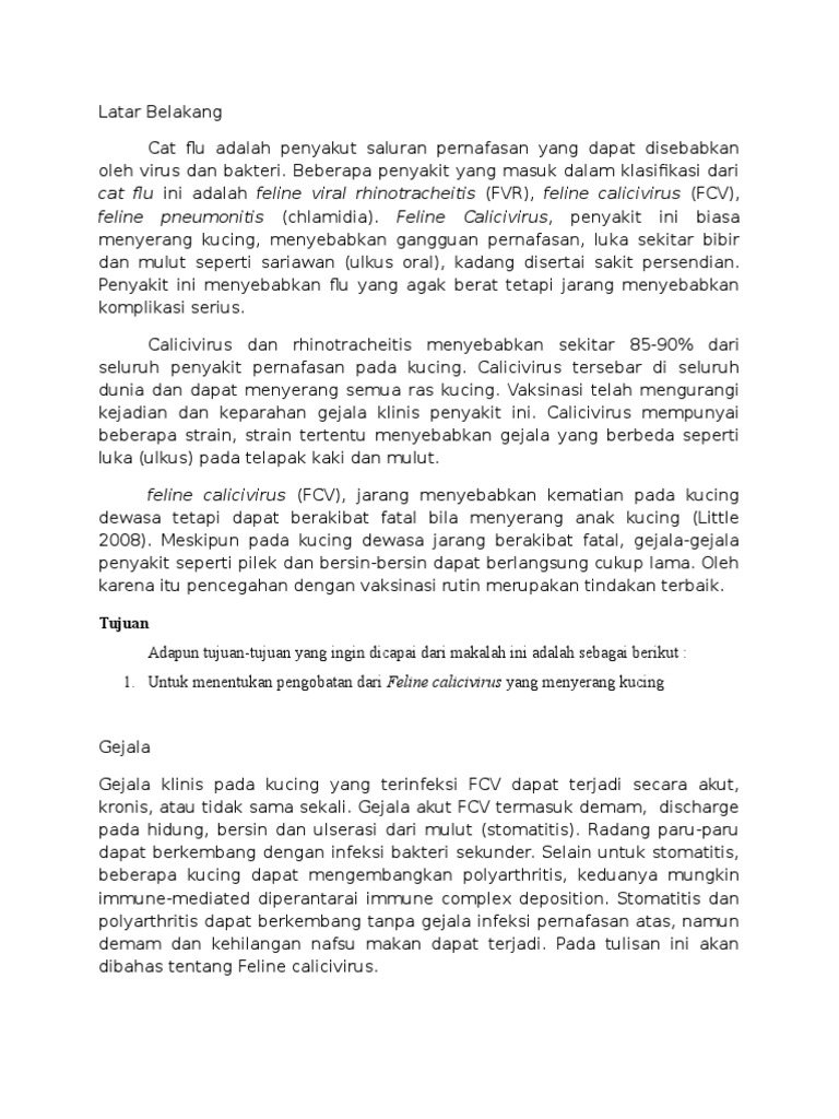 Calici  PDF