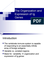 Organization and Expression of Ig Genes