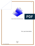 Cálculo Vetorial e Geometria Analítica.pdf