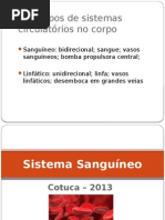 Sistema Sanguíneo 2013