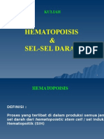 Hemopoisis & Sel Darah