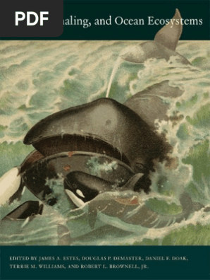 Whales, Whaling and Ocean Ecosystems | PDF | Cetacea | Pinniped