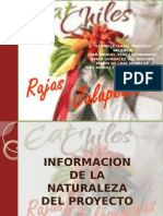 Proyecto Chiles en Escabeche