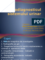Radiologia s. Urinar
