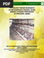 Download Juknis Ayam Kampung Unggul Super by OLAHSPSS SN259183656 doc pdf