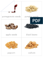 Kinds of Seeds.pdf