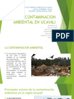 La Contaminacion Ambiental en Ucayali
